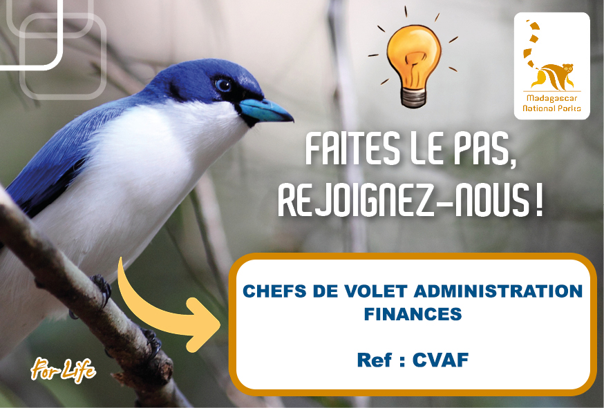 Chef de Volet Administration et Finances (CVAF)