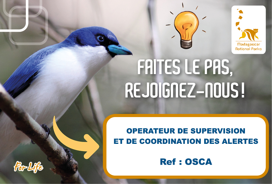 Opérateur de Supervision et de Coordination des Alertes (OSCA)