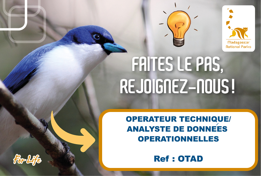 Opérateur Technique / Analyste de Données Opérationnelles (OTAD)