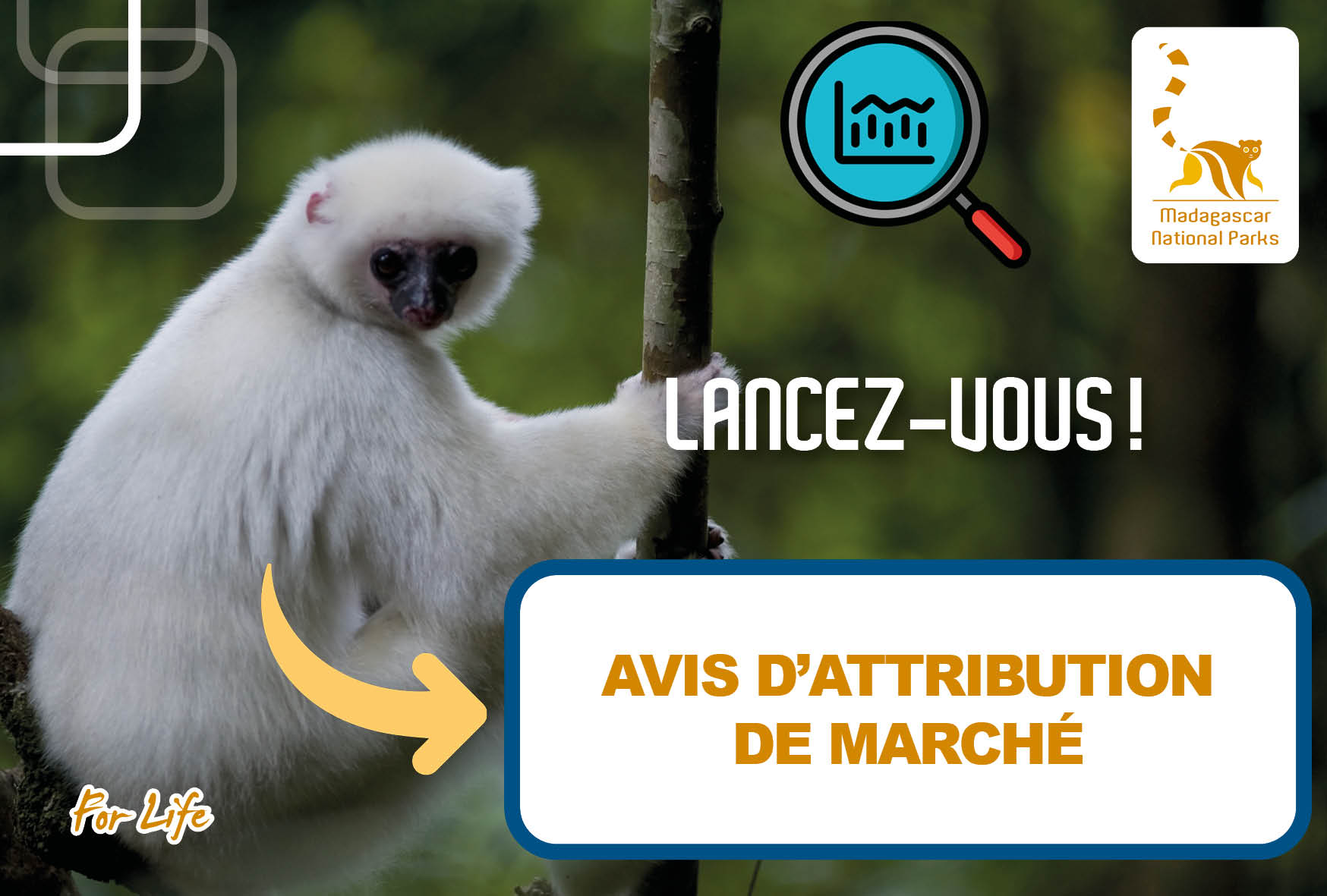 AVIS D’ATTRIBUTION DE MARCHÉ